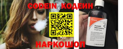 МДПВ Кингисепп