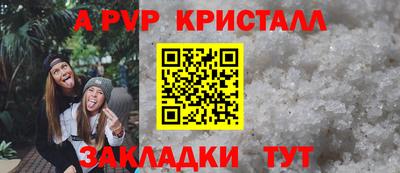 МДПВ Кингисепп