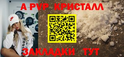 МДПВ Кингисепп
