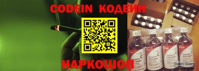 МДПВ Кингисепп