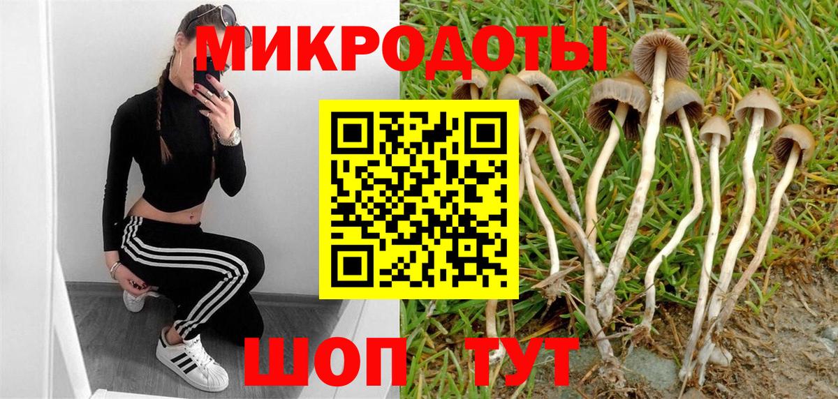 Галлюциногенные грибы прущие грибы  Галлюциногенные грибы MAGIC MUSHROOMS  Вход с VPN  Клинцы 